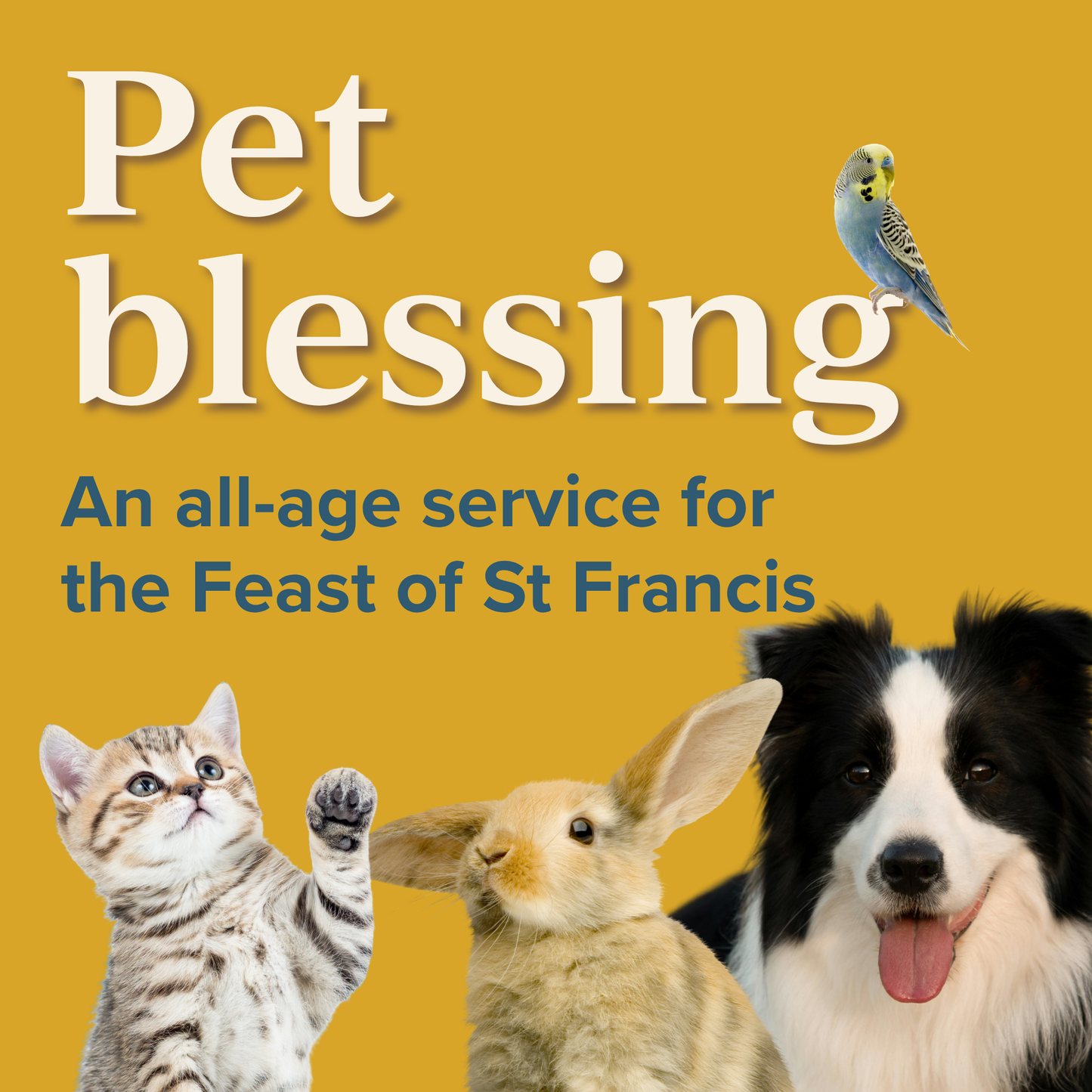 Pet blessing service